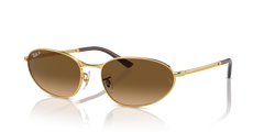 GOLD | BROWN | POLARIZED