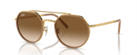 GOLD | GRADIENT BROWN | NON-POLARIZED