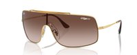 GOLD | GRADIENT BROWN | NON-POLARIZED