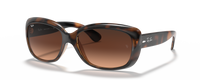 HAVANA | GRADIENT BROWN | PINK | NON-POLARIZED