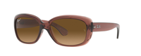 TRANSPARENT PLUM | GRADIENT BROWN - POLARIZED