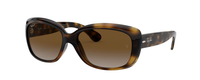 HAVANA | GRADIENT BROWN - POLARIZED