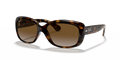 HAVANA | GRADIENT BROWN | POLARIZED