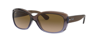 TRANSPARENT GRADIENT BROWN | PURPLE | GRADIENT BROWN