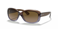 TRANSPARENT GRADIENT BROWN | PURPLE | GRADIENT BROWN | NON-POLARIZED