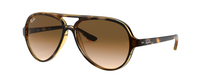 TORTOISE | GRADIENT BROWN
