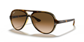 TORTOISE | GRADIENT BROWN | NON-POLARIZED