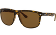 BOYFRIEND - HAVANA | BROWN - POLARIZED