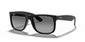 RUBBER BLACK | GRADIENT GREY | POLARIZED