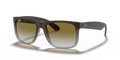 MATTE BROWN | GREEN GRADIENT | NON-POLARIZED