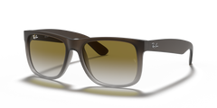 MATTE BROWN | GREEN GRADIENT | NON-POLARIZED