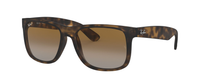 RUBBER HAVANA | GRADIENT BROWN - POLARIZED