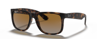RUBBER HAVANA | GRADIENT BROWN | POLARIZED