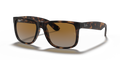 RUBBER HAVANA | GRADIENT BROWN | POLARIZED