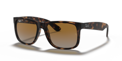 RUBBER HAVANA | GRADIENT BROWN | POLARIZED