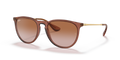 TRANSPARENT LIGHT BROWN | GRADIENT BROWN | NON-POLARIZED