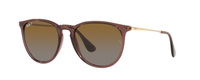 TRANSPARENT PLUM | GRADIENT BROWN - POLARIZED