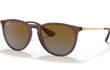 ERIKA - TRANSPARENT PLUM | GRADIENT BROWN | POLARIZED