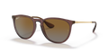 TRANSPARENT PLUM | GRADIENT BROWN | POLARIZED