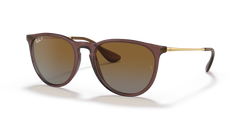 TRANSPARENT PLUM | GRADIENT BROWN | POLARIZED