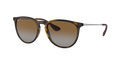 LIGHT HAVANA | GREY GRADIENT BROWN | POLARIZED