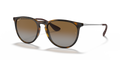HAVANA | GRADIENT BROWN | POLARIZED