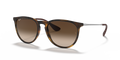RUBBER HAVANA | GRADIENT BROWN | NON-POLARIZED
