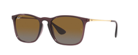 TRANSPARENT DARK PURPLE | GRADIENT BROWN - POLARIZED