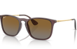 CHRIS - TRANSPARENT DARK PURPLE | GRADIENT BROWN | POLARIZED
