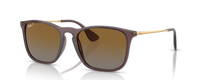 TRANSPARENT DARK PURPLE | GRADIENT BROWN | POLARIZED