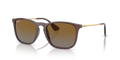 TRANSPARENT DARK PURPLE | GRADIENT BROWN | POLARIZED