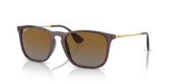 TRANSPARENT DARK PURPLE | GRADIENT BROWN | POLARIZED