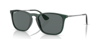 TRANSPARENT DARK GREEN | DARK GREY | POLARIZED