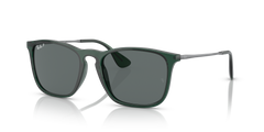 TRANSPARENT DARK GREEN | DARK GREY | POLARIZED