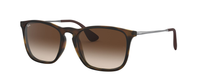 RUBBER HAVANA | GRADIENT BROWN