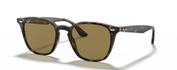 HAVANA | BROWN | NON-POLARIZED