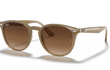 4259 - TURTLE DOVE | GRADIENT BROWN | NON-POLARIZED
