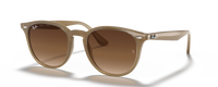 TURTLE DOVE | GRADIENT BROWN | NON-POLARIZED