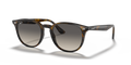 HAVANA | GRADIENT GREY | NON-POLARIZED