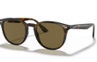 4259 - HAVANA | BROWN | NON-POLARIZED