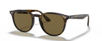HAVANA | BROWN | NON-POLARIZED