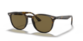 HAVANA | BROWN | NON-POLARIZED