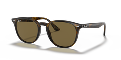 HAVANA | BROWN | NON-POLARIZED