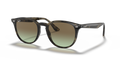 GREY HAVANA | GRADIENT BROWN | GREEN | NON-POLARIZED