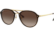 BLAZE DOUBLE BRIDGE - BROWN | GOLD | GRADIENT BROWN