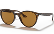 4305 - HAVANA | BROWN | POLARIZED