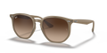 TURTLE DOVE | GRADIENT BROWN | NON-POLARIZED