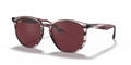 STRIPED BORDEUX | DARK VIOLET | NON-POLARIZED