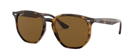 HAVANA | BROWN - POLARIZED