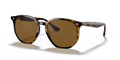 HAVANA | BROWN | POLARIZED